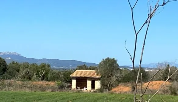 Plot in Felanitx — photo 11