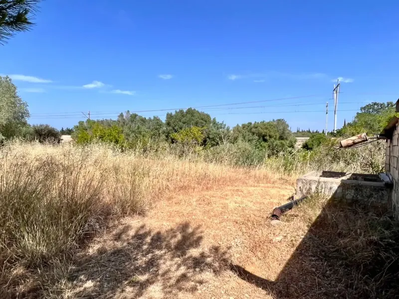 On the outskirts of Muro, next to the train station, we have this beautiful rustic estate with about 7,200 m2 of land and about 40 m2 — photo 7