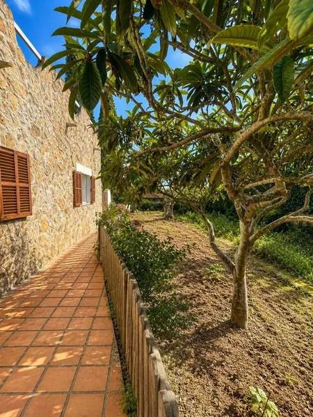 Detached House in Consell, Province of Balearic Islands — photo 6