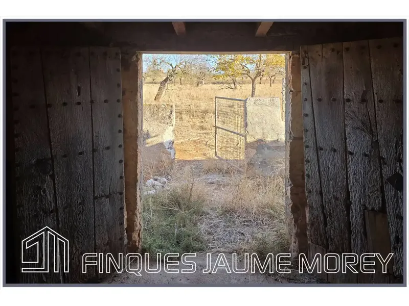 En el municipio de Búger les ofrecemos esta finca rústica de uno 8.000m2 de terreno con una edificación agraria existente de unos 240m2 apro — photo 4