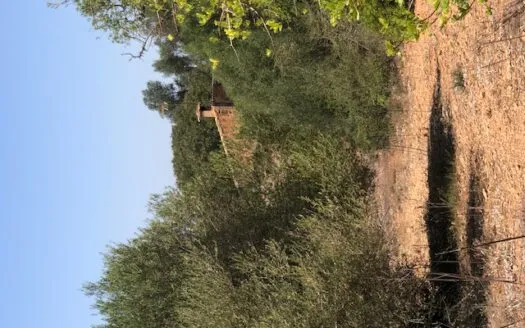 Rustic Finca in Campos — photo 7