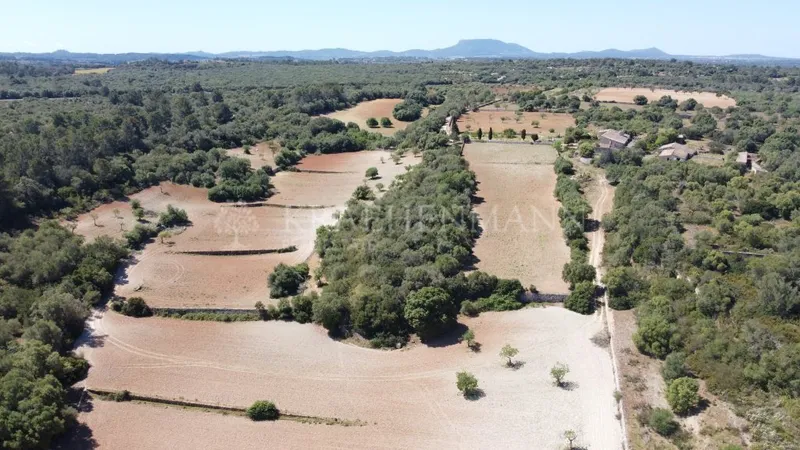 Magnificent Mallorca Country Estate with views in Lloret — photo 4