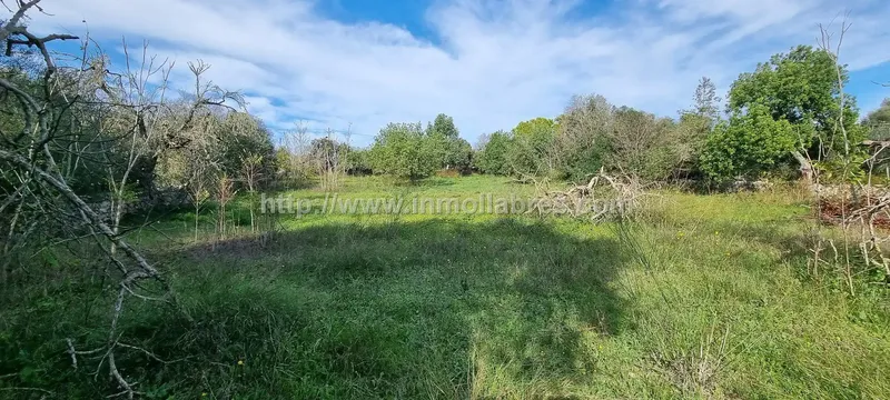 Unique opportunity on the outskirts of the charming municipality of Sencelles, on the beautiful island of Mallorca. This huge rustic estate — photo 9