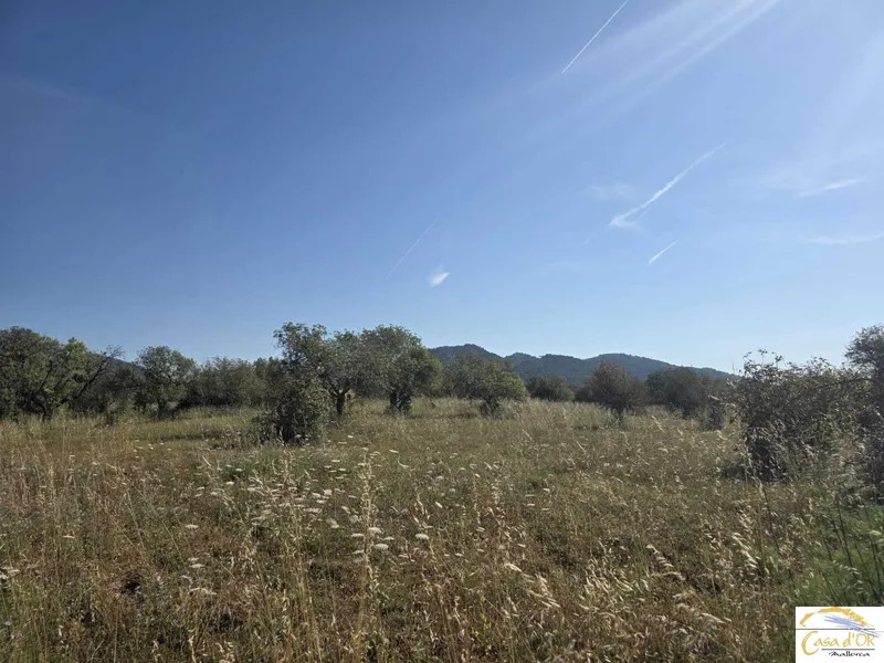 Exclusive Building Plot with Mediterranean Serenity near Sant Llorenç des Cardassar — photo 9