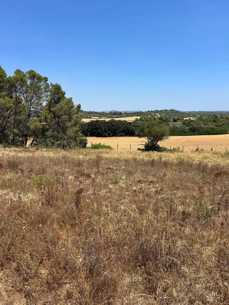 Beautiful building plot near Manacor — photo 4