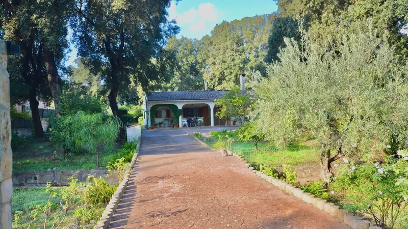 This well-maintained finca, built in 1976, is located on a plot of 1,925 m² in the sought-after residential area of Crestatx, combining tra — photo 1