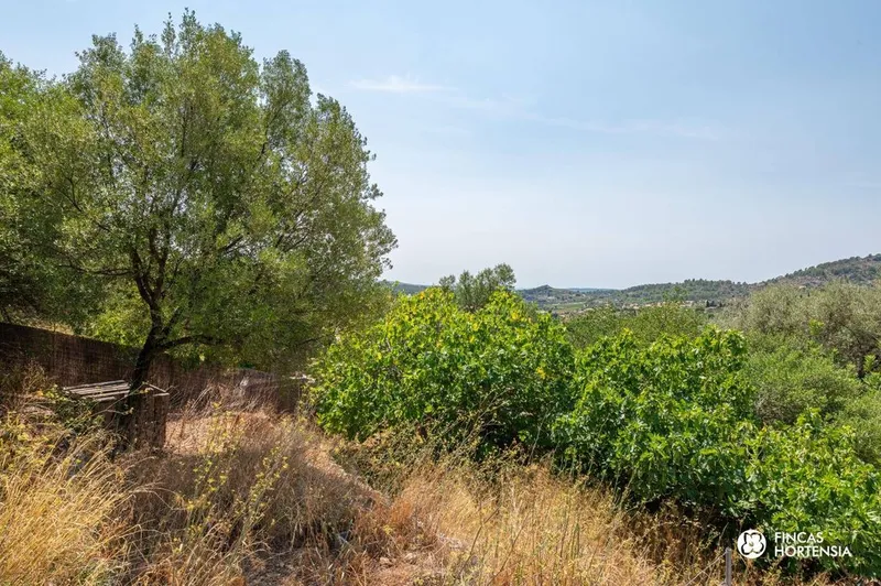 Land in Alaró, Province of Balearic Islands — photo 1