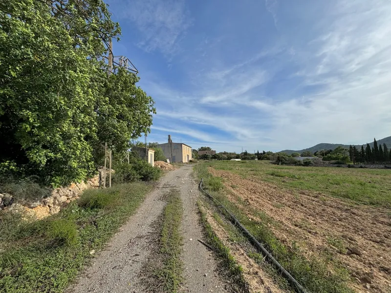 House / Chalet in Manacor — photo 3