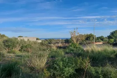 Plot in Son Servera — photo 1