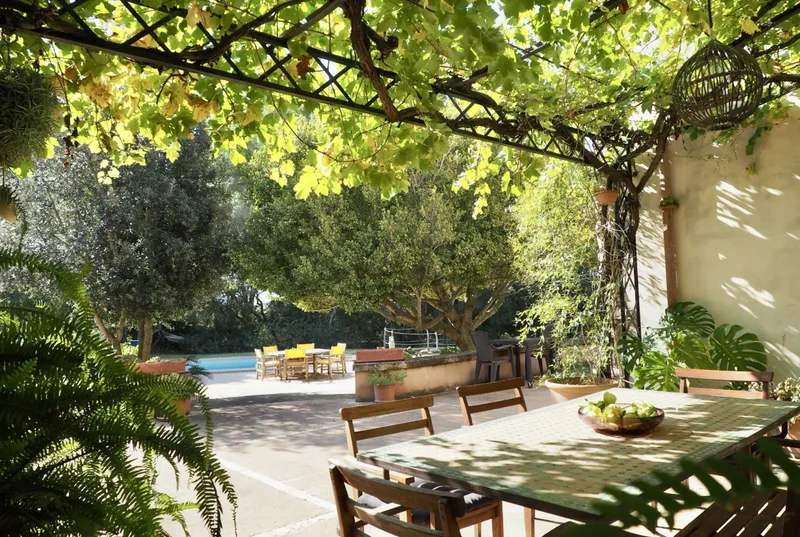 Estate with olive plantation in Cas Concos — photo 4
