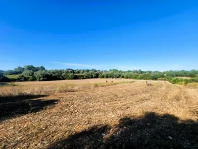 Rustic Land - Manacor (Manacor Centro), Plot Surface 14300m², Distance to the sea 12 Km. — photo 6