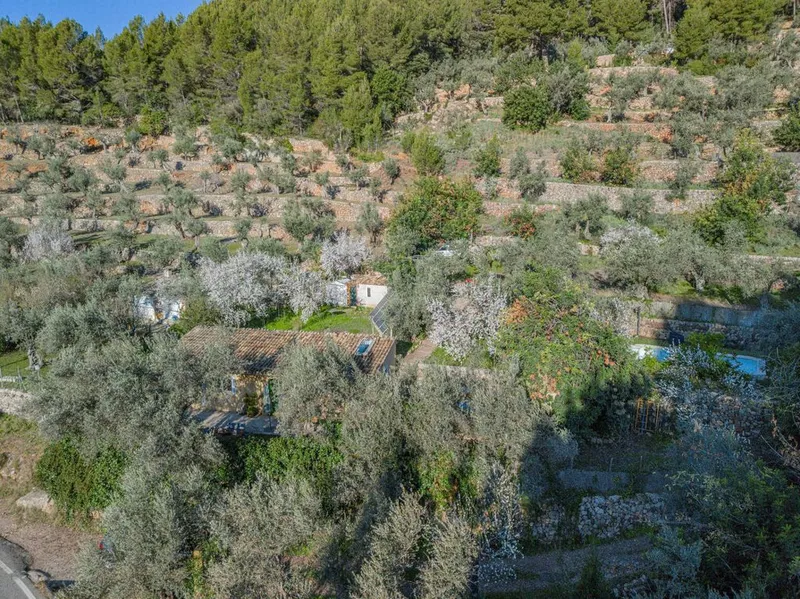 Luxury home in Soller, Province of Balearic Islands — photo 5