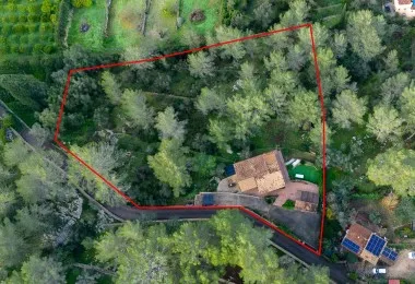 Unique rustic finca in Puigpunyent — photo 4