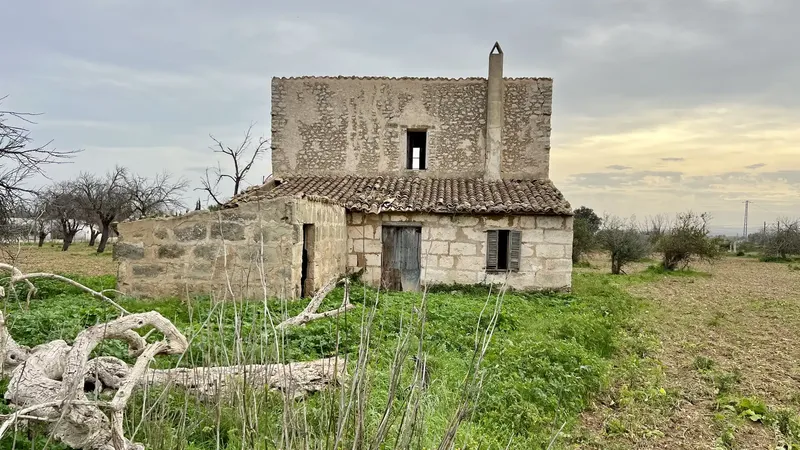 Discover the charm of rural life in Binissalem with this impressive rustic estate! — photo 4