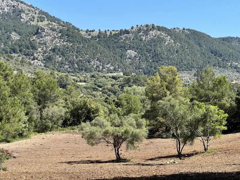 Building Plot for Sale in Selva, Mallorca, Baleares, Spain — photo 1