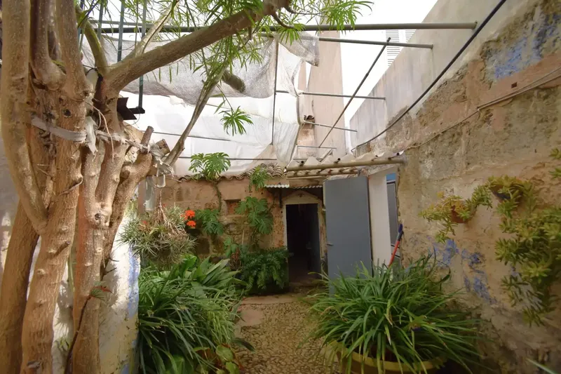 Village house to renovate with many possibilities in Muro — photo 1