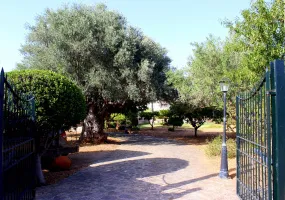 Charming Mallorcan Country House in Establiments — photo 2