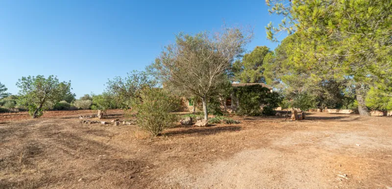 Country house for sale in Campos with land, orchard and own well — photo 9