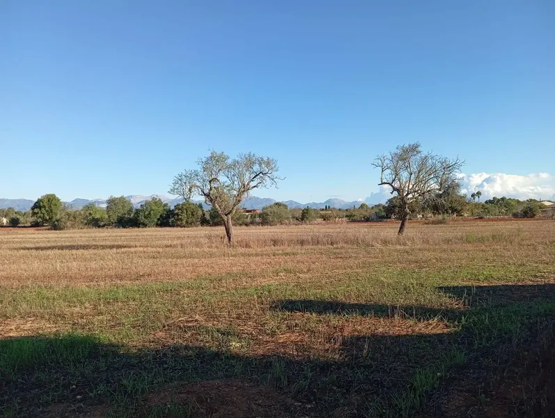 Discover this magnificent rustic estate of 46,000 m2! 🌳 The property features a charming 100 m2 country house, ideal for enjoying — photo 7