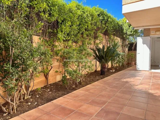 Ground floor. Palma de Mallorca, Son Dameto area — photo 12