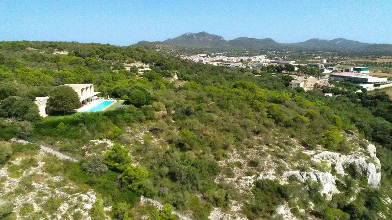 17,000 m² finca with 9 rooms, guest house and pool for sale — photo 4