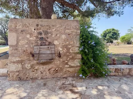 Rustic finca with an idyllic garden and pool between Son Carrio and Porto Cristo — photo 8