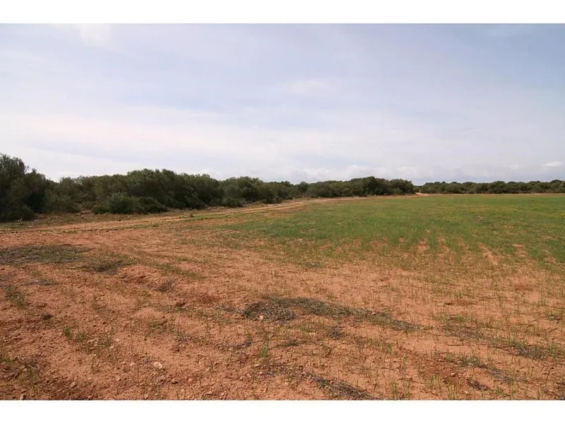 Rustic house for sale in Llucmajor of 200 m2 — photo 12