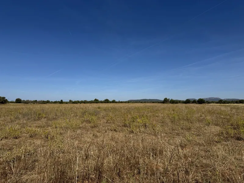 Impressive newly built Country House in Campos — photo 12