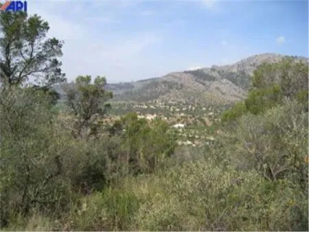 Rural land - Bunyola, plot surface 160000 m² — photo 3
