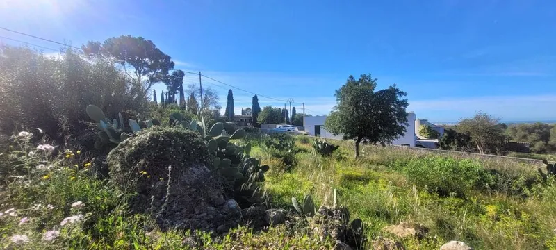 Land in Marratxí, Province of Balearic Islands — photo 1
