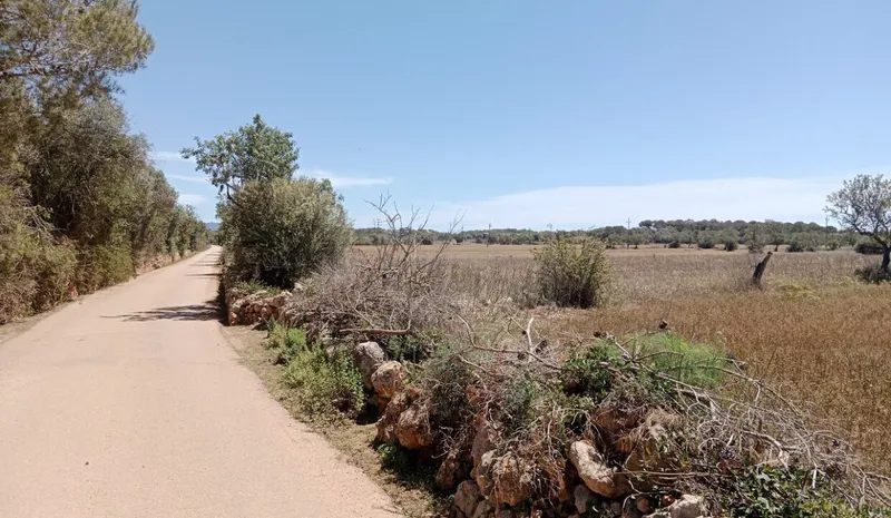 Country Land near Campos — photo 3