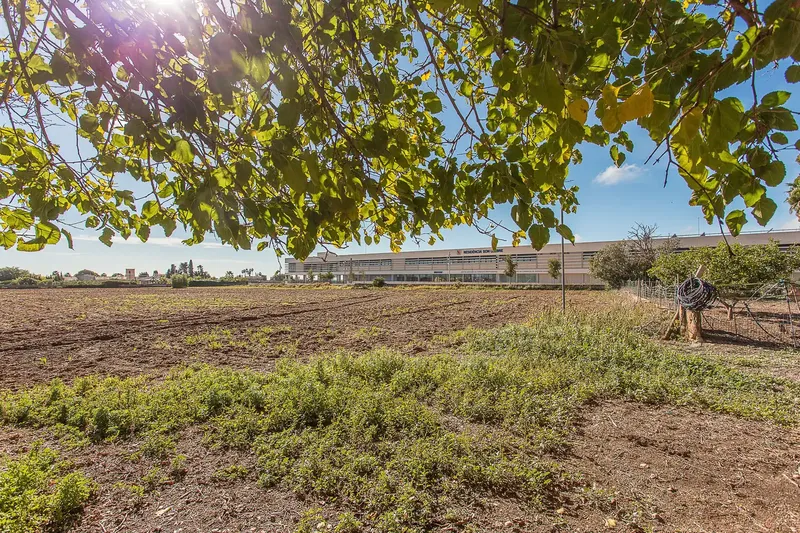Attention, horse lovers and lovers of Mallorcan architecture! This exceptional rustic estate in Marratxí, located in the quiet area — photo 12