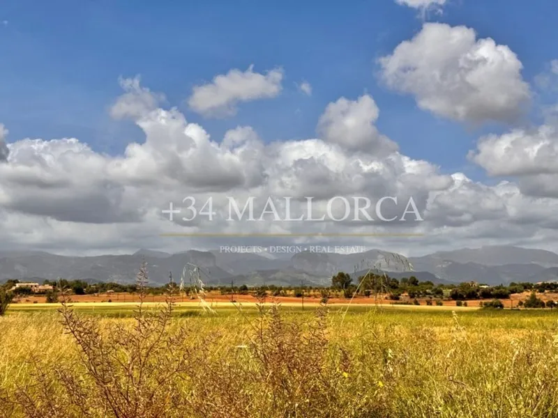 Apartment in Santa Eugènia, Province of Balearic Islands — photo 1