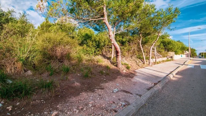 Land in Capdepera, Province of Balearic Islands — photo 7