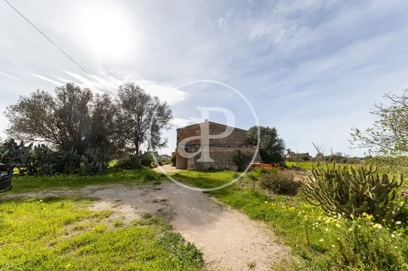 Casa rústica con jardín en venta en Son Rango — photo 8