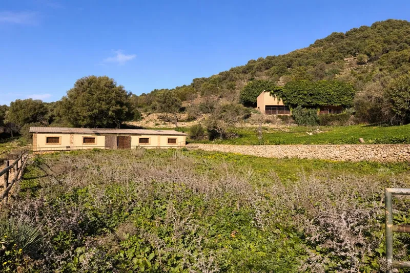 Detached Villa in Manacor — photo 6
