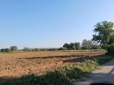 Rural Land - Campos, Plot Surface 2406m² — photo 3