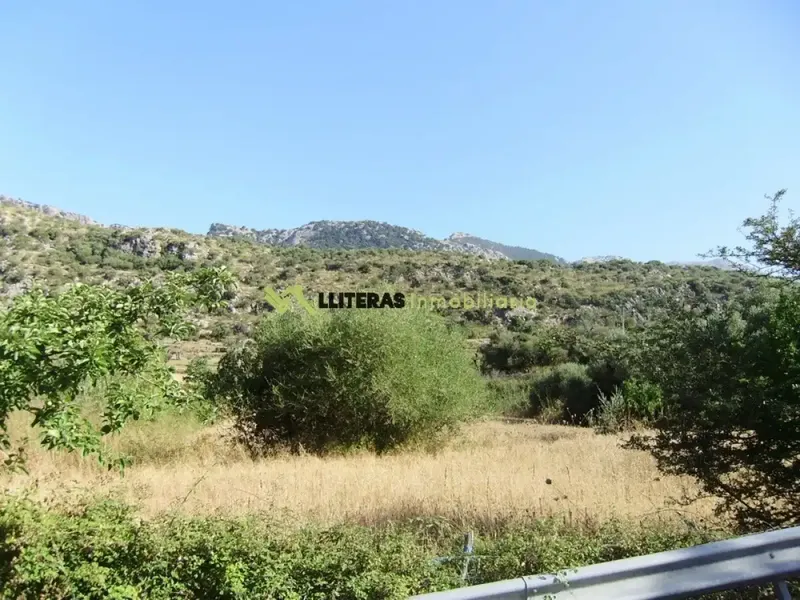Fantastic estate in the valley between Alaro and Orient, in a paradisiacal setting surrounded by mountains. With an area of more than 50,000 m2 and u — photo 1