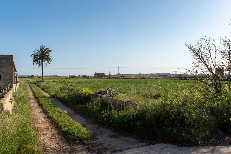 Rural or Farmhouse in Palma de Mallorca, Province of Balearic Islands — photo 9