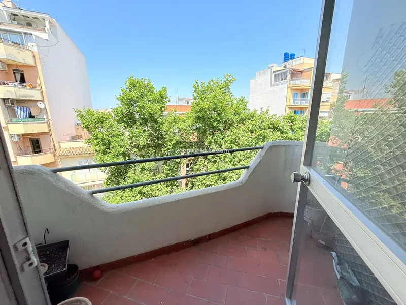 Piso en Palma — photo 3