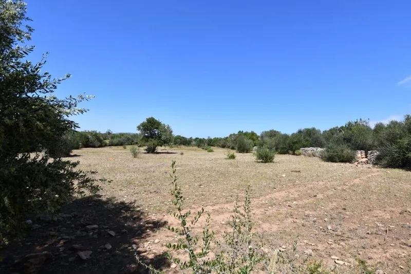 Interesting plot located just 2.5 km from Santanyi — photo 3