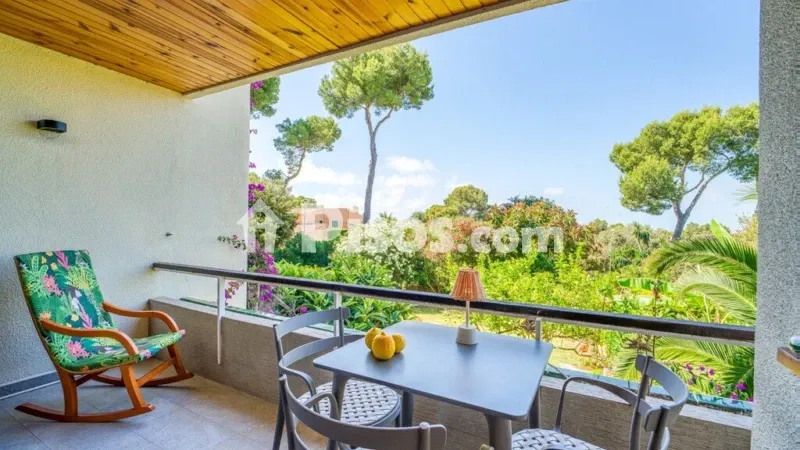 Apartamento en Son Servera — photo 2