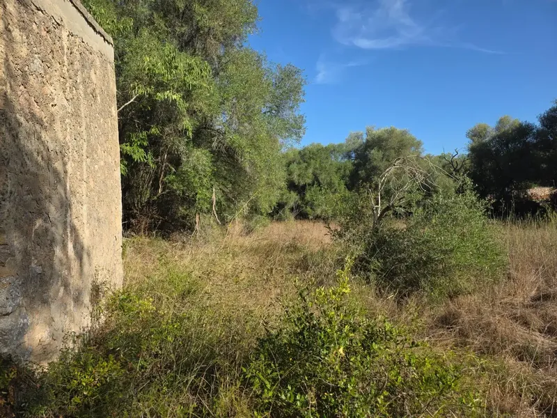 Rustic estate in Costitx — photo 4