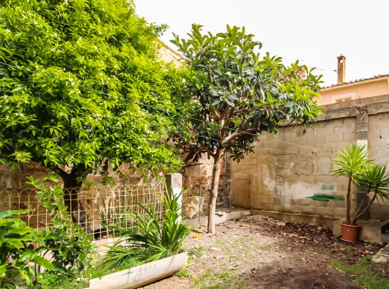 Ref.2436C – Andratx – Typical Mallorcan village house with large patio — photo 2