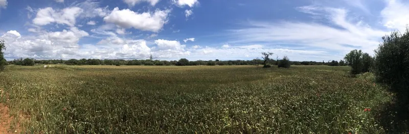 Plot located on a quiet plot 500 meters from Santanyi — photo 1