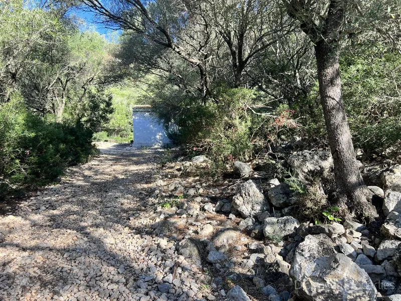 Charming building plot with license and panoramic views in Alcudia — photo 7