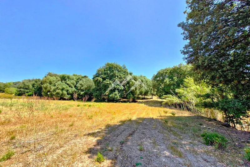 Large Rustic Estate of 266,000 m2 in Artà — photo 12