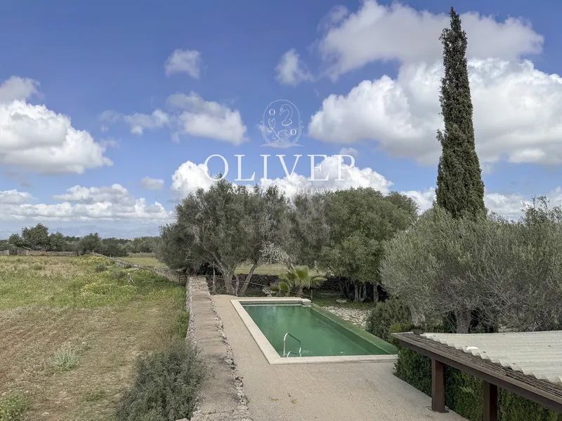 Rustic finca in Algaida — photo 10