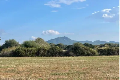 Buildable rustic land in Felanitx 15200sqm — photo 1