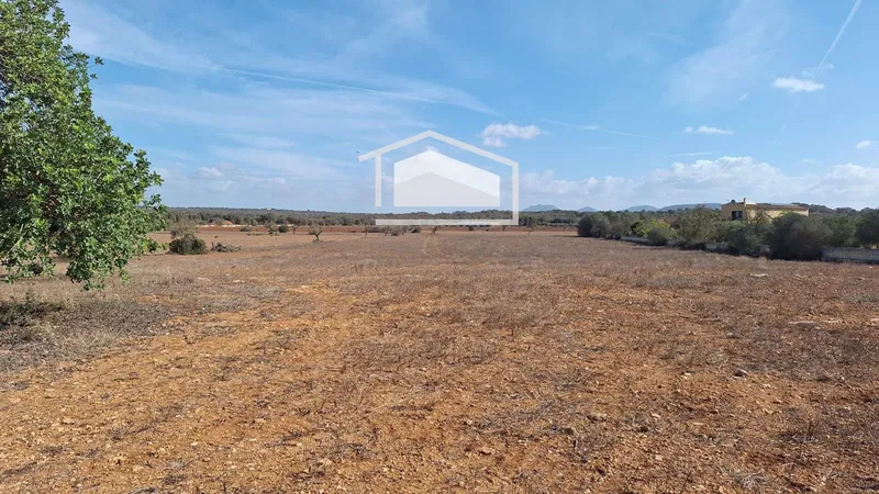 Plot in Ses Salines, panoramic views and possibility to build a 450 m² home — photo 2